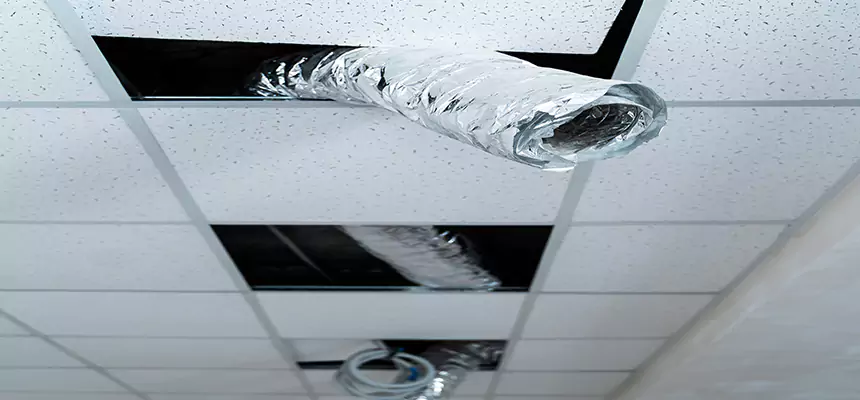 Affordable HVAC Sanitizing After Pest Removal in Depew