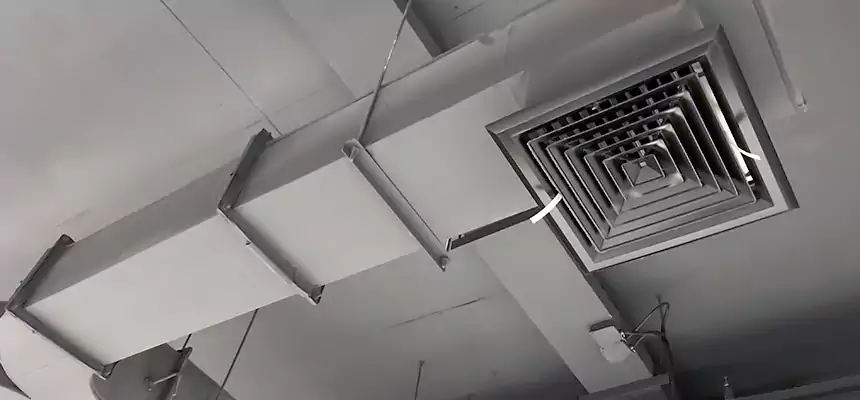 Restorative Allergy Relief Vent Cleaning – Coil, Blower & Housing Detail in Depew