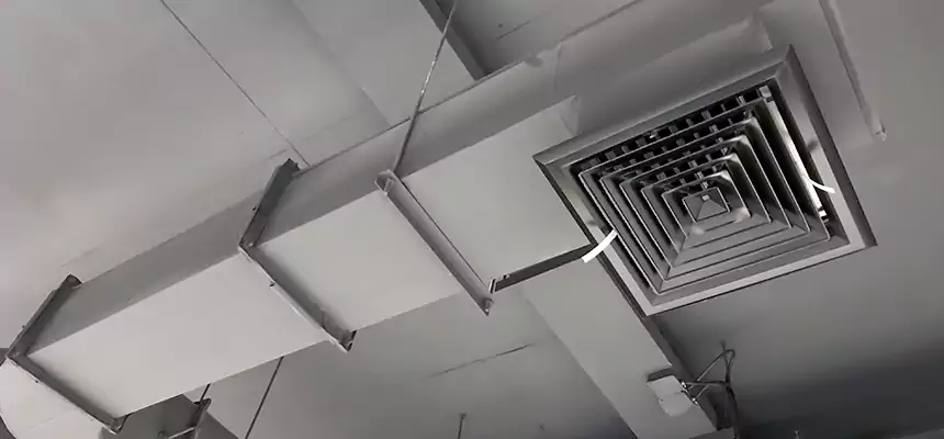 Our Pest Removal From Ducts Services in Depew, NY