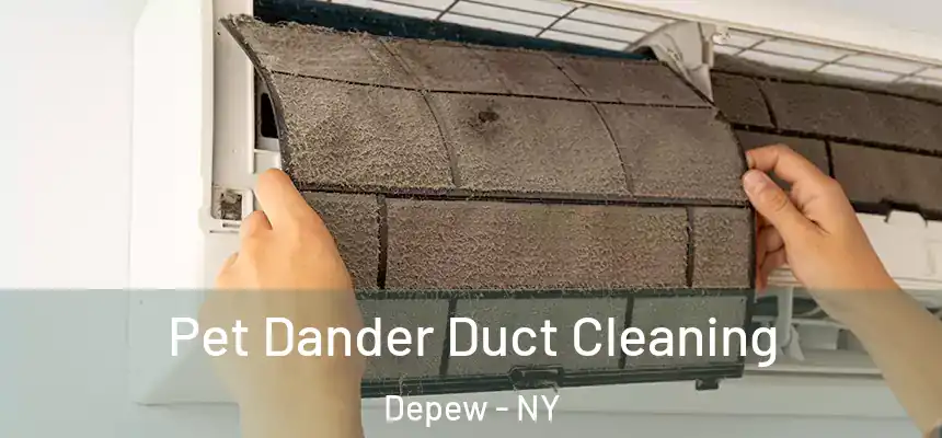  Pet Dander Duct Cleaning Depew - NY