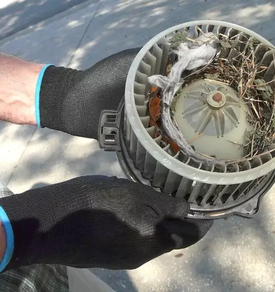 About Air Duct Rat Removal in Depew, NY