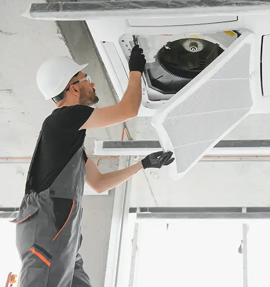 About Air Duct Rodent Removal in Depew, NY