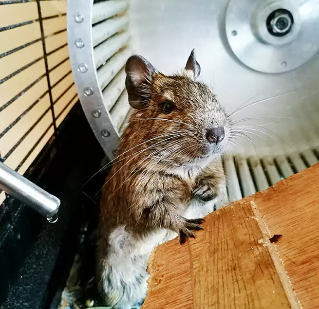 Why Homeowners & Businesses Trust Us Depew, NY?